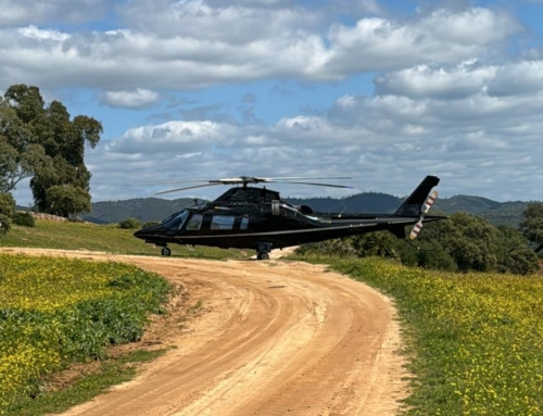 Planes de otoño con estilo: enoturismo, gastronomía y relax con traslado VIP