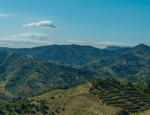 Mas d’En Bruno y Vinum, una experiencia enológica y gastronómica en el corazón del Priorat