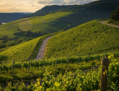 Cómo disfrutar de un fin de semana de lujo en la naturaleza evitando desplazamientos por carretera