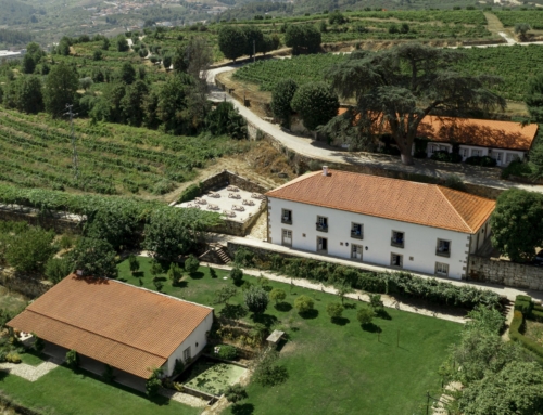 El nuevo lujo rural: fincas de caza con acceso aéreo y servicios premium