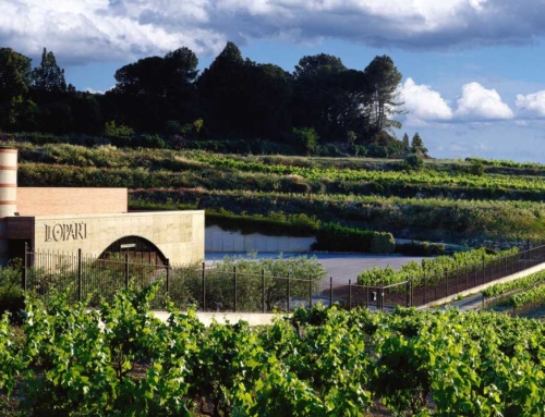 Bodegas Llopart, en el corazón del Penedés
