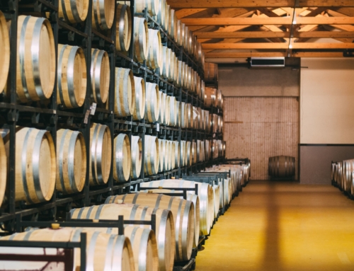 Bodegas Alta Alella, un viñedo único entre el mar y la montaña